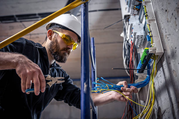 Best Affordable Electrician  in Spring Grove, MN