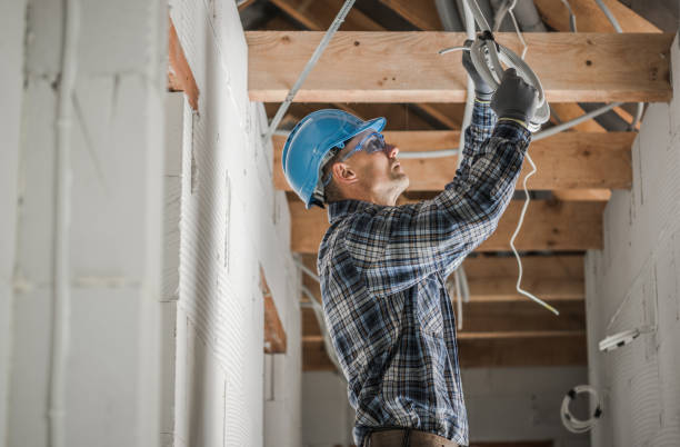 Best Residential Electrician Services  in Spring Grove, MN