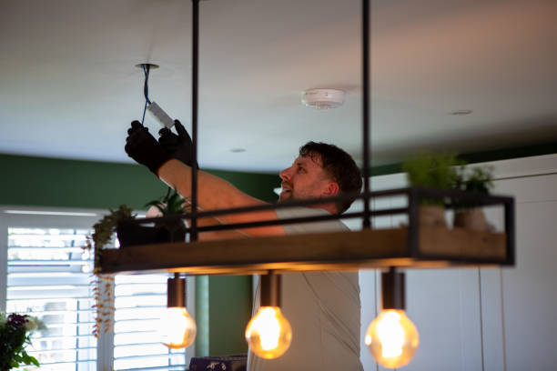 Best Licensed Electrician  in Spring Grove, MN
