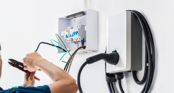 Best Affordable Electrician  in Spring Grove, MN